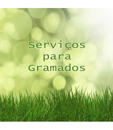 Orçamento de Serviços para Gramados