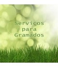 Orçamento de Serviços para Gramados