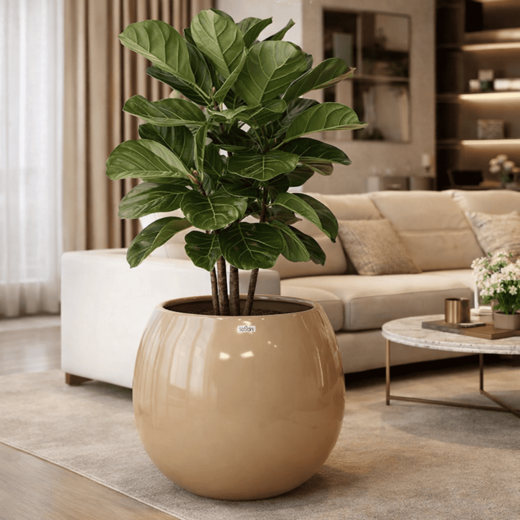 Vasos de fibra de alto padrão para paisagismo