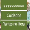 Jardinagem em Praia Grande guia para o cuidado de plantas